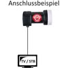 12236_7.jpg