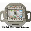 cat6back_o_deckel.jpg