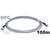 ofc-100m.jpg