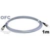 ofc-1m.jpg