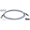 ofc-5m.jpg