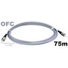 ofc-75m.jpg